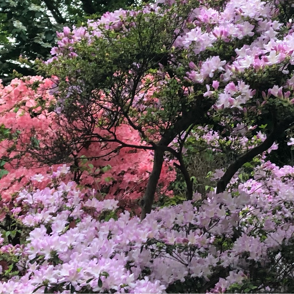 Meet your Posher, Melonie